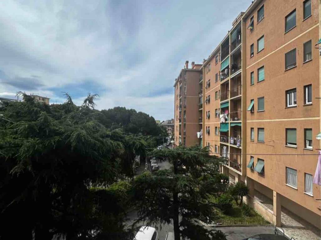 appartamento in vendita a Genova in zona Sampierdarena