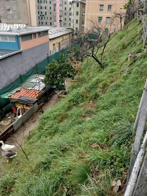 terreno agricolo in vendita a Genova in zona Rivarolo