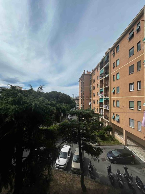 appartamento in vendita a Genova in zona Sampierdarena
