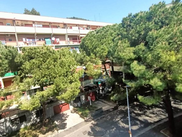 appartamento in vendita a Genova in zona Sestri Ponente
