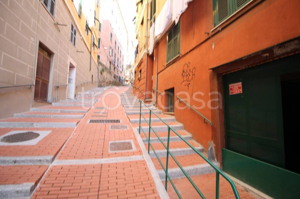 quadrivano in vendita a Genova in zona DiNegro