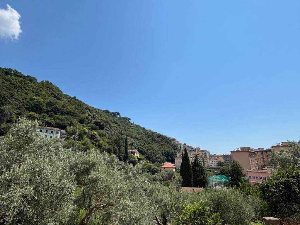 appartamento in vendita a Genova in zona San Martino