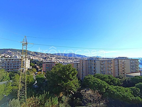 appartamento in vendita a Genova in zona DiNegro