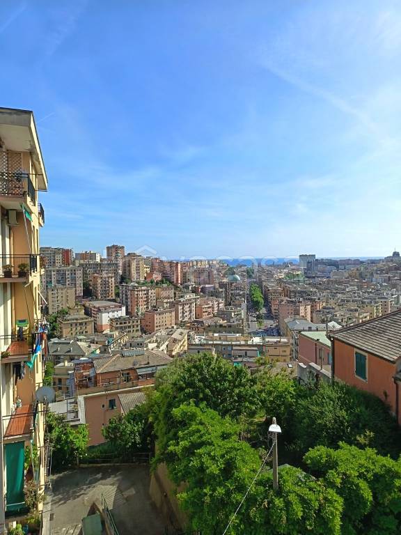 appartamento in vendita a Genova in zona Marassi