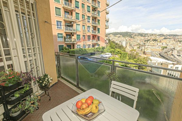 appartamento in vendita a Genova in zona DiNegro