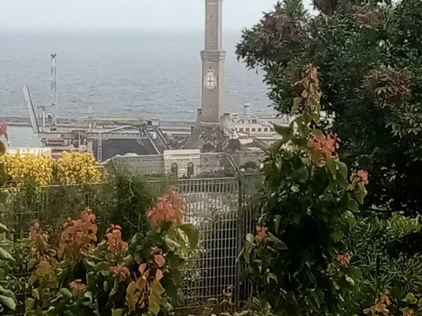 appartamento in vendita a Genova in zona Sampierdarena