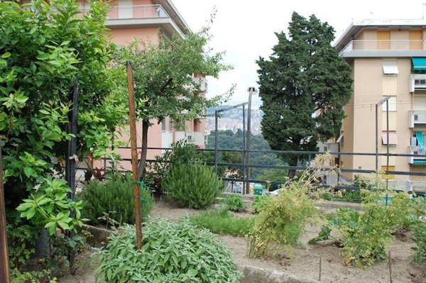 appartamento in vendita a Genova in zona San Teodoro