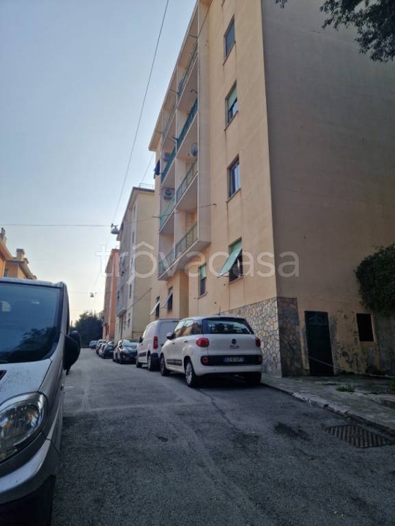 appartamento in vendita a Genova in zona Sampierdarena