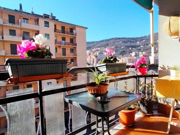 appartamento in vendita a Genova in zona Marassi