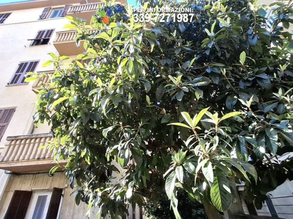 appartamento in vendita a Genova in zona Multedo
