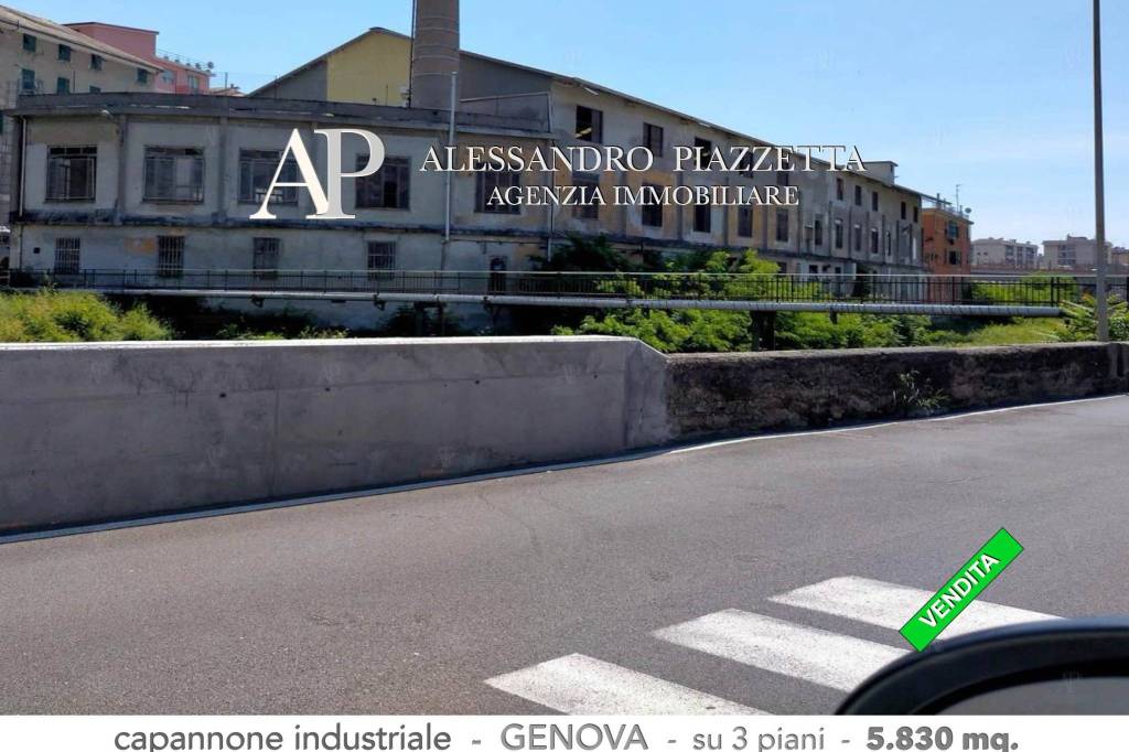 immagine annuncio 0 di 12
