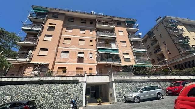 appartamento in vendita a Genova in zona Rivarolo