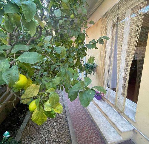 appartamento in vendita a Genova in zona Certosa