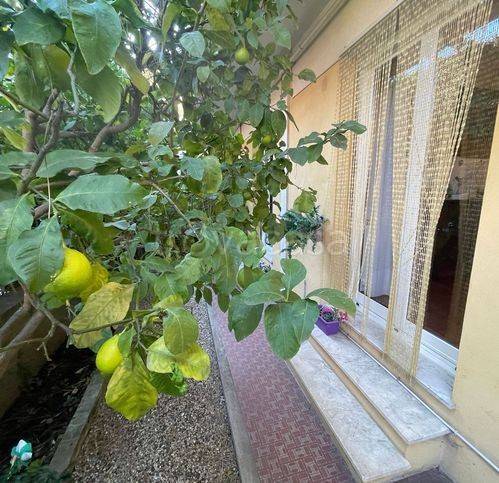 appartamento in vendita a Genova in zona Rivarolo