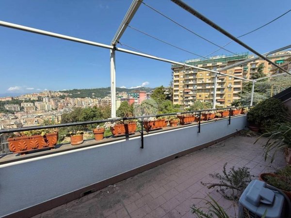 appartamento in vendita a Genova in zona Quezzi