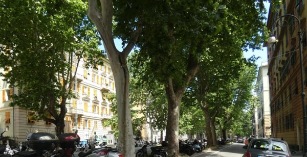 appartamento in vendita a Genova in zona Foce