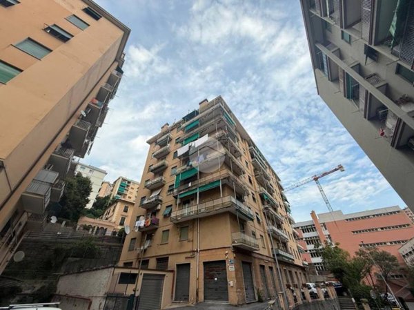 appartamento in vendita a Genova in zona Marassi