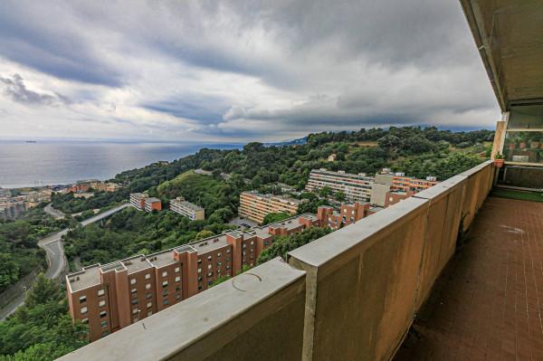 appartamento in vendita a Genova in zona Palmaro / Pra'