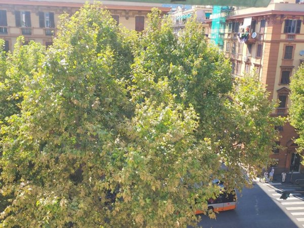 appartamento in vendita a Genova in zona Quezzi