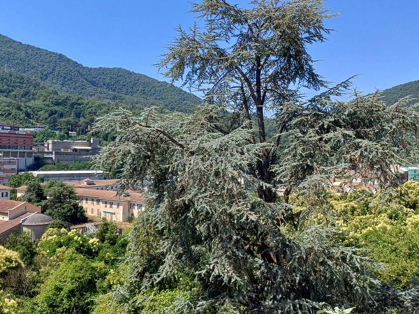 appartamento in vendita a Genova in zona Molassana