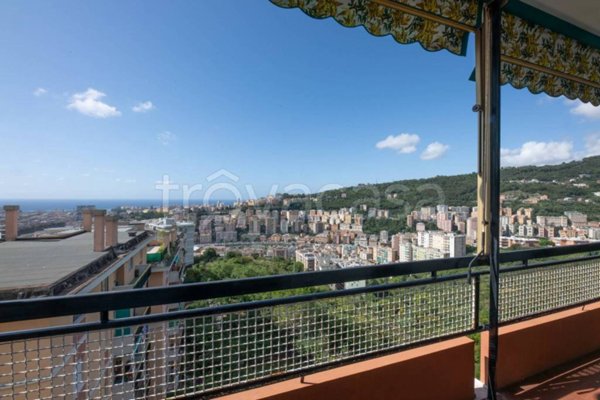 appartamento in vendita a Genova in zona Marassi