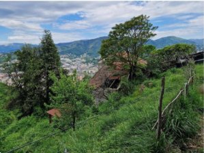 casa indipendente in vendita a Genova in zona Lagaccio / Granarolo