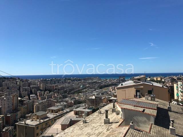 appartamento in vendita a Genova in zona Marassi
