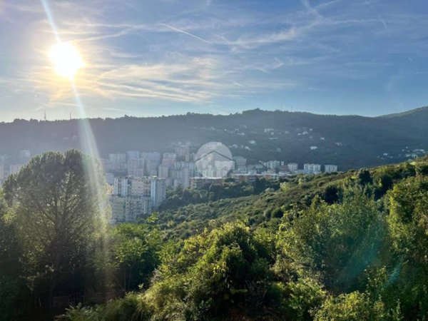 appartamento in vendita a Genova in zona Quezzi