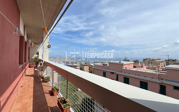 appartamento in vendita a Genova in zona Sampierdarena