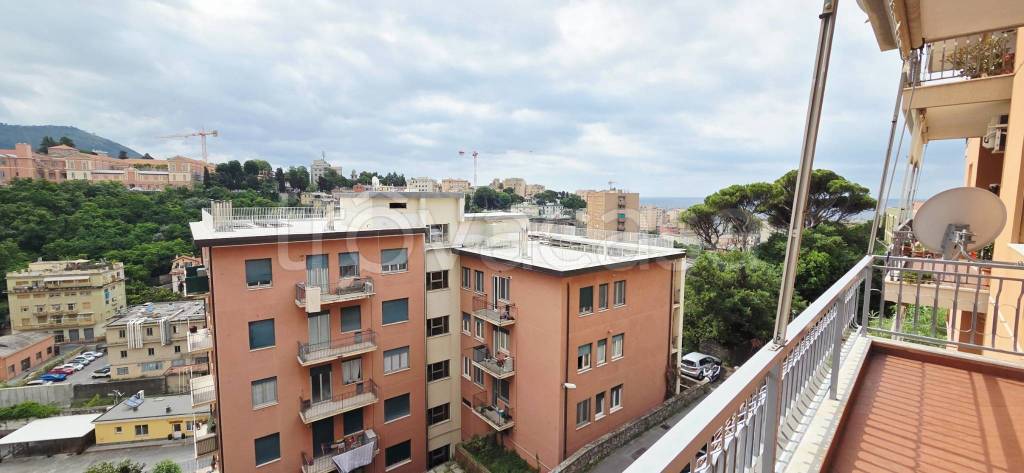 appartamento in vendita a Genova in zona Sturla
