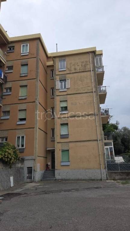 appartamento in vendita a Genova in zona Palmaro / Pra'