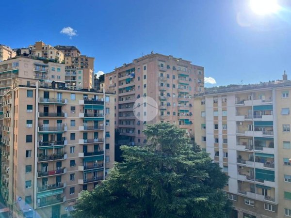 appartamento in vendita a Genova in zona Marassi