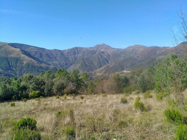 terreno agricolo in vendita a Genova
