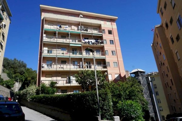 appartamento in vendita a Genova in zona Sampierdarena