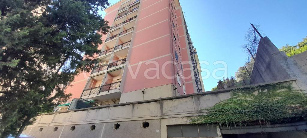 appartamento in vendita a Genova in zona Sampierdarena