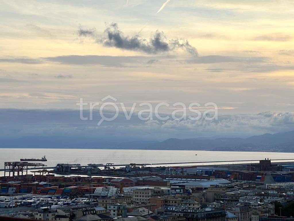 appartamento in vendita a Genova in zona Sampierdarena