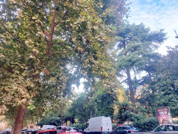 appartamento in vendita a Genova in zona Centro Storico
