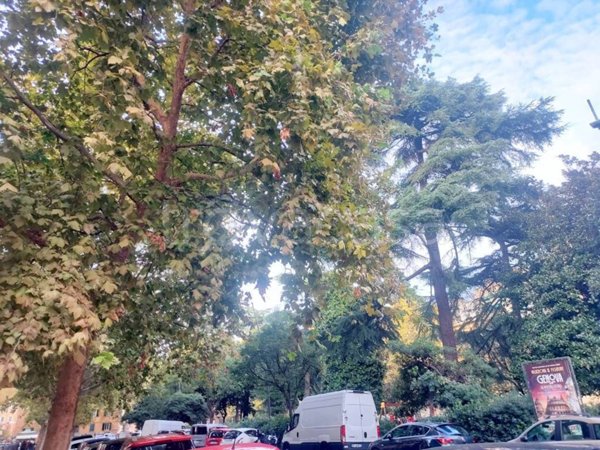 appartamento in vendita a Genova in zona Foce