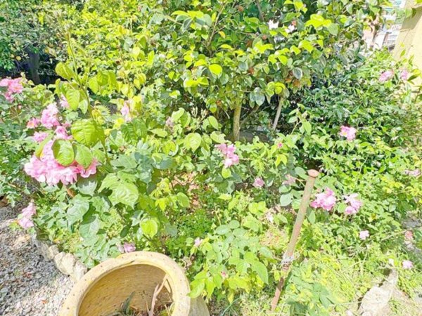 appartamento in vendita a Genova in zona Nervi
