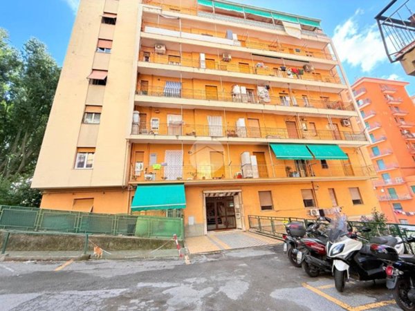 appartamento in vendita a Genova in zona Borzoli