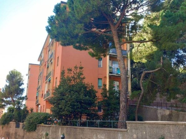 appartamento in vendita a Genova in zona Sampierdarena