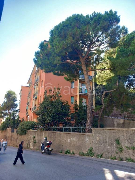 appartamento in vendita a Genova in zona Sampierdarena
