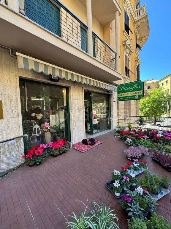 negozio in vendita a Genova in zona Castelletto