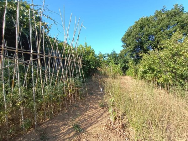 terreno agricolo in vendita a Genova in zona Sestri Ponente