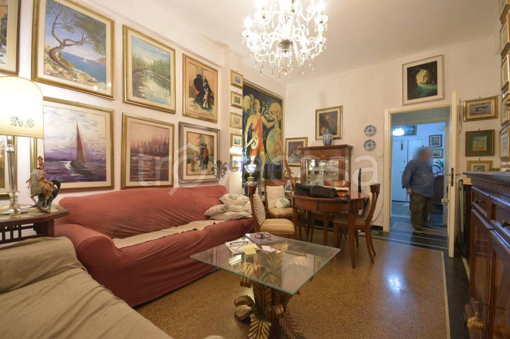 immagine annuncio 0 di 15