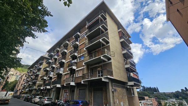 immagine annuncio 0 di 1