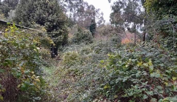 appartamento in vendita a Genova in zona Cornigliano