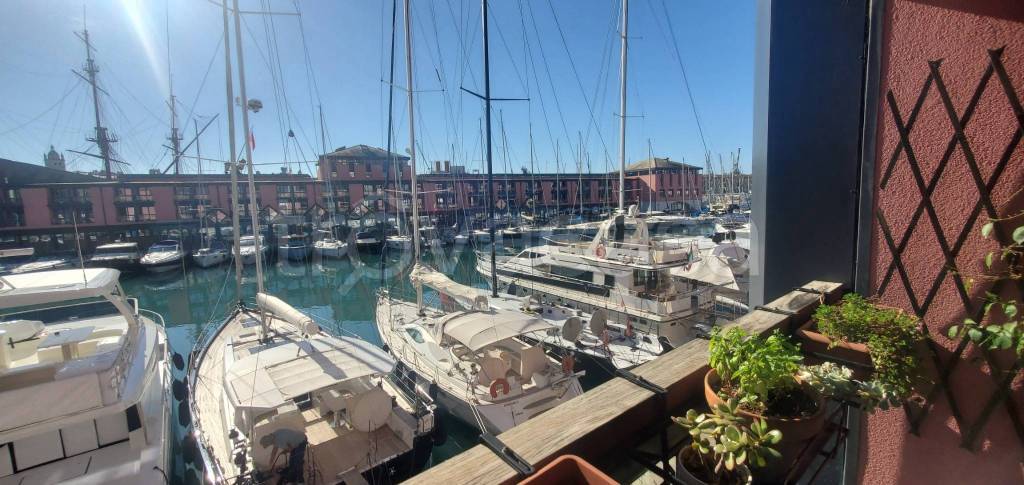 immagine annuncio 0 di 15