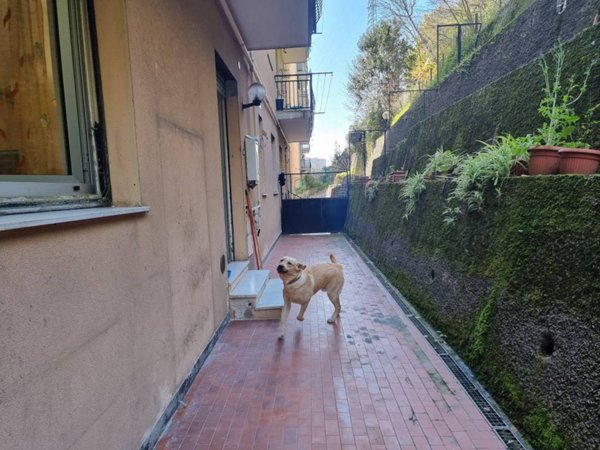 appartamento in vendita a Genova in zona Bolzaneto
