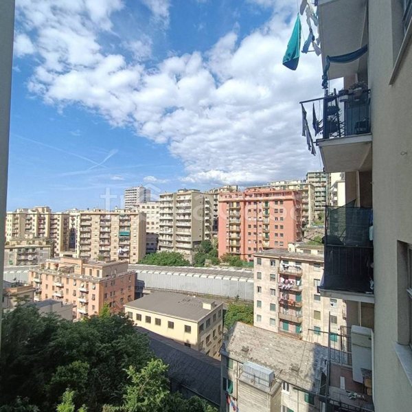 appartamento in vendita a Genova in zona Sampierdarena
